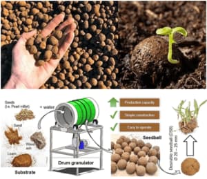 replanting collage