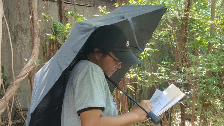 Umbrella under the rain of bat pee